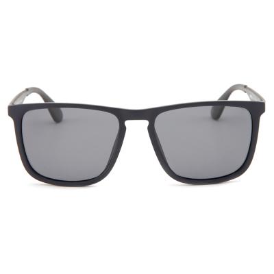 China Fashion Sunglasses High Quality PC Frame Black Plastic Sunglasses For Men for sale