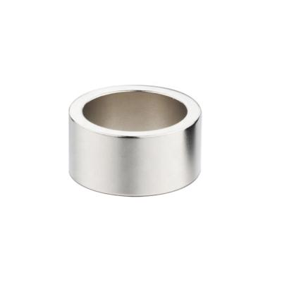 China Industrial Magnet OEM Multipole Ring Neodimium / Neodymium Magnets For High End Audio for sale