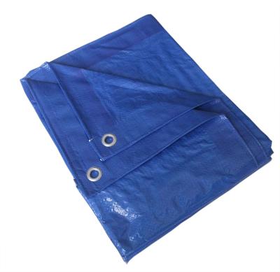 China Water Resistant Netting Various Colors Customized Fabric Sheet PE Coated Tarpaulin for sale