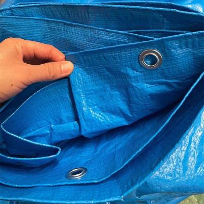 China Water resistant japan hot sale light weight blue pe tarpaulin for sale for sale