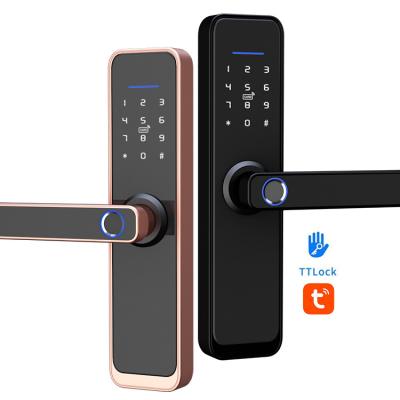 Cina ttlock digital wifi fingerprint rfid electric lock door tuya waterproof handle wooden in vendita