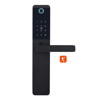 China Fingerprint RFID electric outdoor tuya waterproof multi smart digital lock door handle for sale