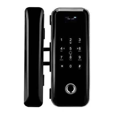 Cina China safety hidden house tt lock cord glass door magnetic smart lock fingerprint in vendita