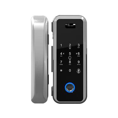 China ttlock digital keypad fingerprint pad stainless electronic tempered steel glass door lock zu verkaufen