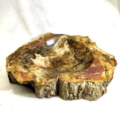 China Wholesale Natural Stone Smoking Fossil Bowls Healing Petrified Wood Ashtray From Europe for sale