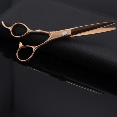 China Professional Titanium Coating Titanium Coating Hair Shear Professional Japanese Steel Barber Scissors Best Cut for sale