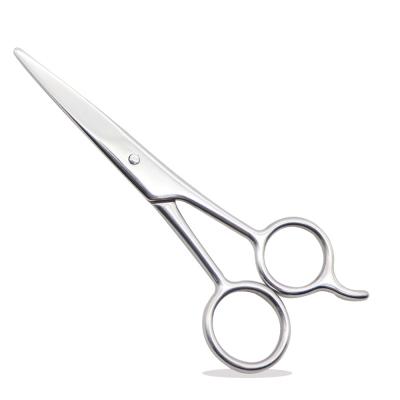 China Clipping Scissors Professional Stainless Steel Eyebrow Nose Hair Hairdressing Mustache Scissors for sale