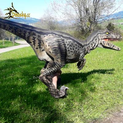 China Exhibiton Profesional Realistic Movie Props Stage Show Dinosaur Costume For Sale for sale