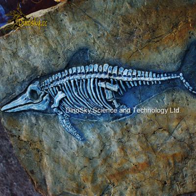 China Museum Replicas Jurassic Ichthyosaur Skeleton Fossils Display in Science Museum for sale