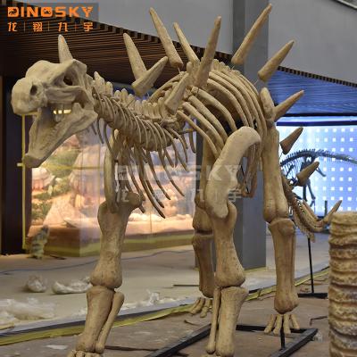 China High Simulation Jurassic Artificial Dinosaur Theme Park Fiberglass Reproductions Skeleton Fossils for sale