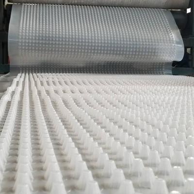 China Foundation HDPE High Density Polyethylene Drainage Mat For Water Management for sale