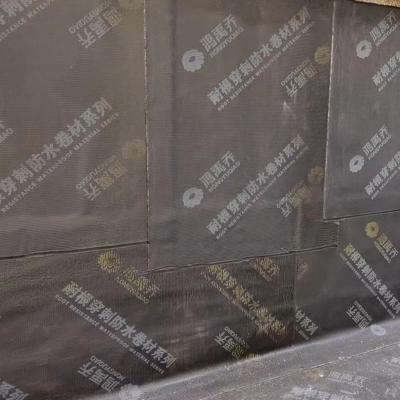 China Elastomeric APP SBS Modified Bitumen Waterproofing Membrane For Roofing for sale