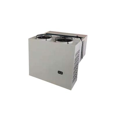 China Hotels Low Temperature 2hp 3hp Mini Monoblock Solar Condenisng Unit for sale