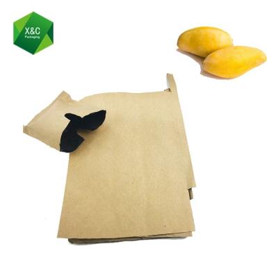 China Free Sample Disposable Waterproof Craft Fruit Growing Bag Protective Paper Mango Wrapping Bag for sale