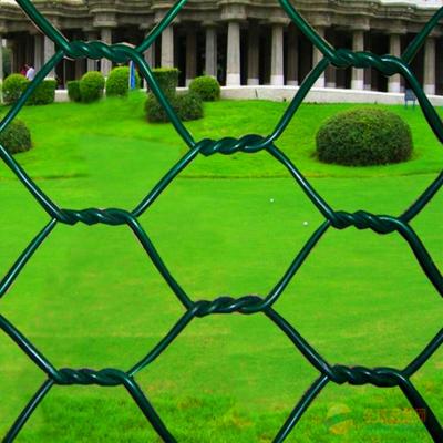 China Reverse Twisted Normal Twisted Hex Netting China Hexagonal Mesh Sheet For Construction for sale