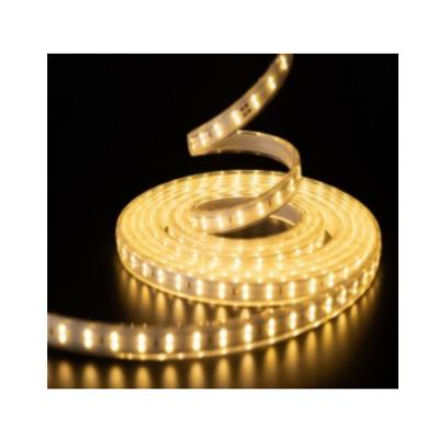 China LANDSCAPE High CRI LED Waterproof IP65 220V 2835-RGB Color Changing Soft LED Light Strip for sale