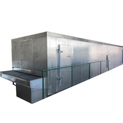 China Vegetable Kiwi Fruit Meat IQF Tunnel Blast Freezer Tunnel Freezer Flash Freezer for sale