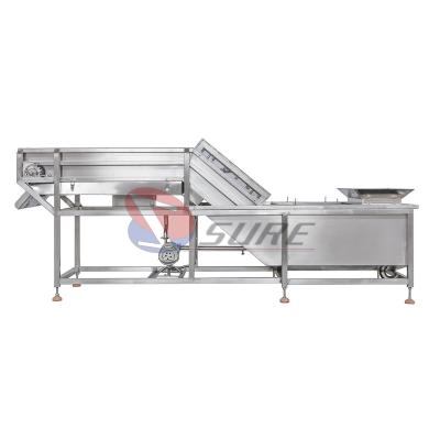 中国 Hot Selling Fish Meat Shrimp Vegetable Fruit Ice Glazing Ice Coating Machines 販売のため