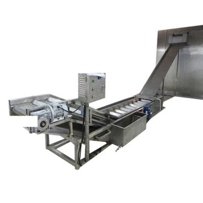 Κίνα China Supply Automatic Seafood Prawn Fish Meat Ice Coating  Shrimp Ice Glazing Machine for Sale προς πώληση