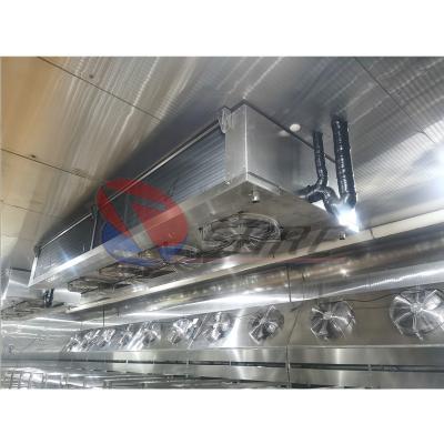 China Full-Automatic Meat Thawing Machine Stainless Steel Frozen Chicken Thawing Machine for sale