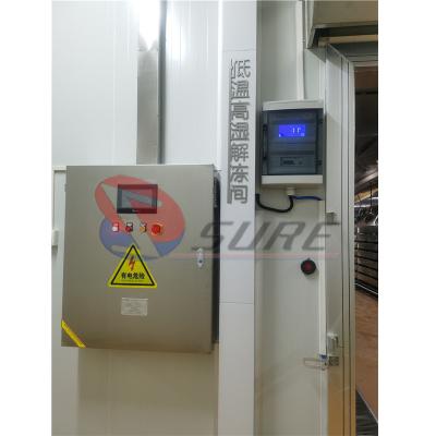 中国 Multi-function Frozen Chicken Beef Port Meat Thawing Machine For Industry Meat Processing Factory 販売のため