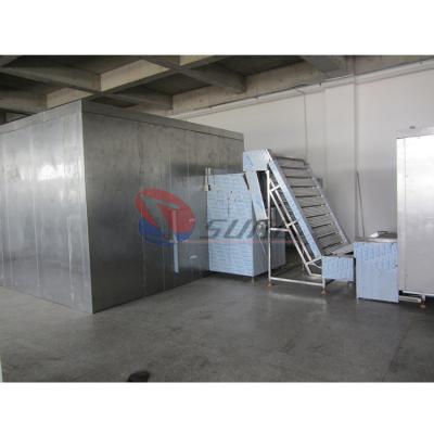 China Sure 1000kg/H Spiral Blast Freezer customized IQF Shrimp Spiral Freezer zu verkaufen