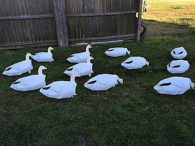 China Plastic Head Snow Goose Decoys For Hunting Windsock For Hunting for sale