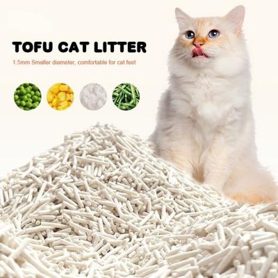 China Hoge absorptie Tofu Kattenstorting Stofvrij Sterke geurbestrijding Milieuvriendelijk Te koop