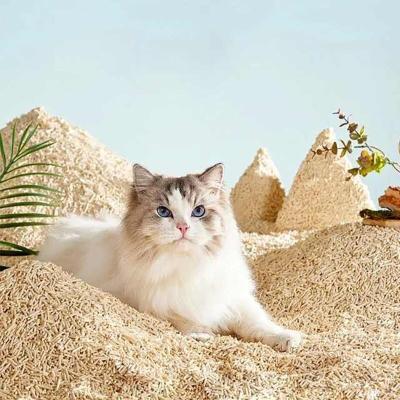 Chine Des déchets pour chats à base de tofu multifragrances écologiquement biodégradables à vendre