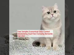 Free Samples Economical Odor Control Deodorizing Dust-Free Clumping Bentonite Cat Litter