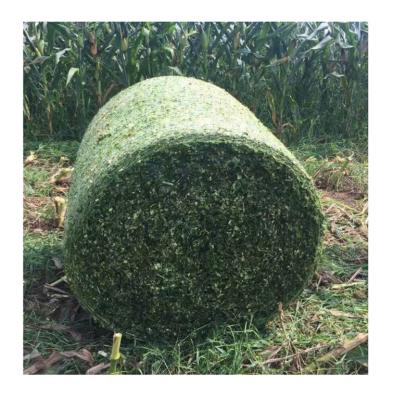 China 100% Biodegradable Virgin HDPE Bale Wrap Netting For Agriculture for sale