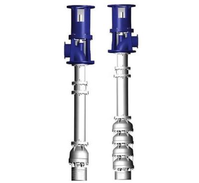 China 2205 Zentrifugalpumpe für Meereswasser aus Duplexstahl Elektrische Langschachtwasserpumpe zu verkaufen