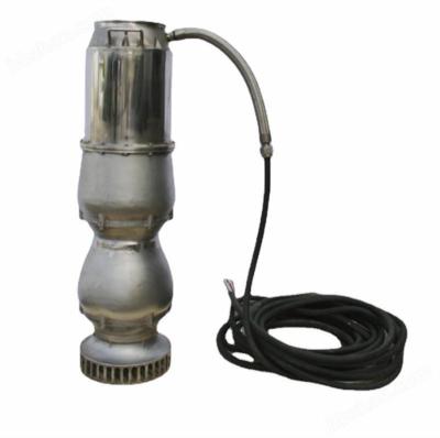 China Portable Flood Control Pump Electric Stainless Steel Submersible Pump 1000L/min for sale