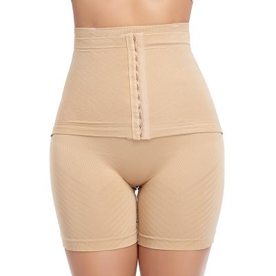 China Antibacterial High Quality Butt Lifter Body Shaper Body Shaper Mid Thigh Panties Women Shapewear Tummy Control Tummy Control Panties for sale