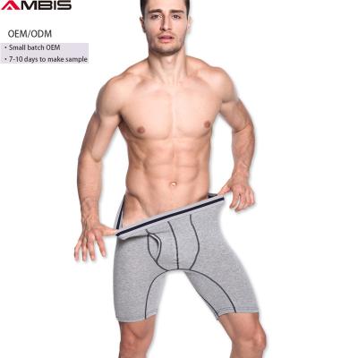 China 2022 Breathable Hot Selling European and American Low MOQ Sports Cotton Stripes Men's Lengthen Boxer Shorts Underwear for sale