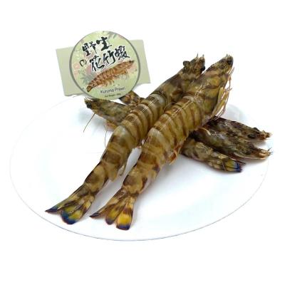 China Wholesale Good Quality Frozen Jumbo Prawns Kuruma Prawns with Lower Prices for sale