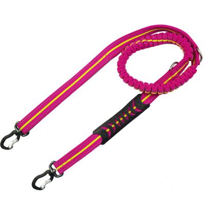 China Padded Carabiner Double Padded Heavy Duty Nylon Dog Leash Reflective Dog Leash For Daily Walk With Puppies And Small Breeds for sale