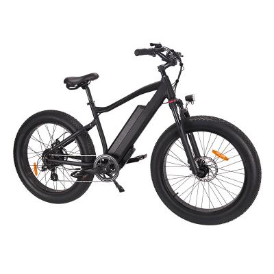 China 2022 Steel Mountain Electric Bike 48V 750W Adults Bike Cheap Price for sale