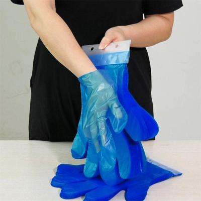 China Wholesale CPE TPE LDPE HDPE Poly Gloves For Multipurpose Food Housework Cleaning Transparent Blue Or Any Color for sale