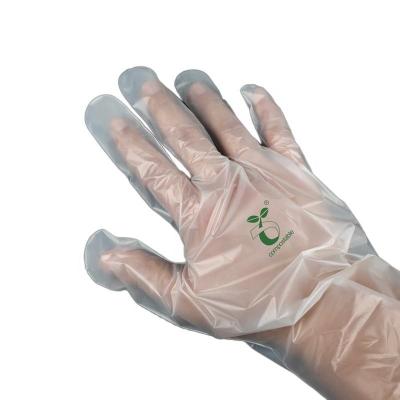 Chine Gants 100% compostables, gants à base de maïs, gants jetables pour les services alimentaires, gants de cuisine pour la préparation des aliments, écologiques à vendre