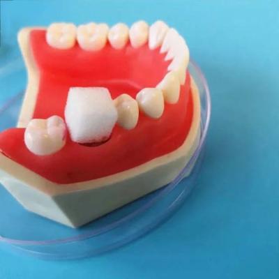 China Hoge kwaliteit absorberend medisch tandheelkundig gebruik Tactische gelatine hemostatische spons OEM Groothandel Te koop