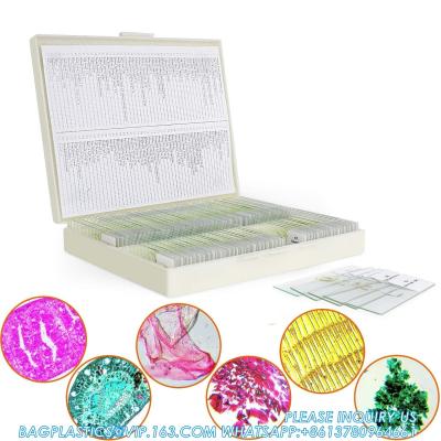 China Microscope Slides With Specimens For Kids, Prepared Microscope Slides Plants Animals Insects, Microscope Slides for sale