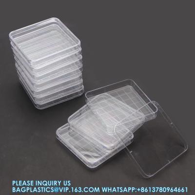 China Polystyrene Square Integrid Petri Dish Container for School Lab Science Experiment Alphanumeric Gridlines for sale