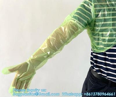 Chine Extended Plastic Disposable Veterinary Long Sleeve Gloves Waterproof Disposable Plastic Arm Length Gloves à vendre