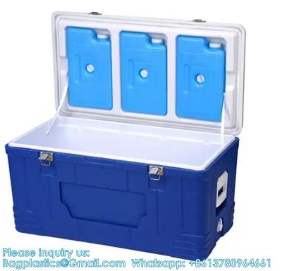 Chine Custom Medical Organ Transport Portable Cooler Wine Beer Styrofoam Ice Chest Thermal Bag Food Large Cooler Box à vendre