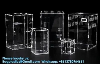 China Acrylic Reptile Terrarium Clear View Transparent Acrylic Box Feeding Box For Small Animals Insect for sale