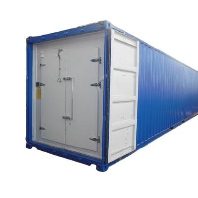 China Container Complete 20ft 40ft Container blast freezer for food processing factory for sale