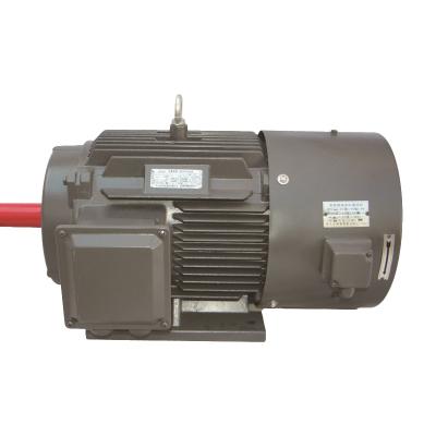 China IP55 High Power 45Kw 2 Series Three Phase Asynchronous AC Motor 0.55Kw0.75Kw4 Pole Ye3 for sale