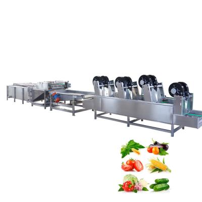 China Commercial Restaurant Orange Industrial Equipment Bubble Washer Clean Line Fruit And Vegetable Wash Machine for sale