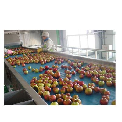 China China factory manufacture fresh fruit concentrate juice production line Fruit Juice Production Line for sale